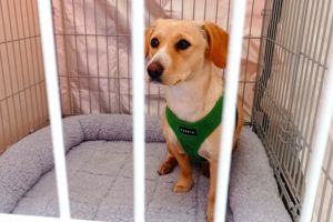 New Boxes in Milan: more inclusive support for all