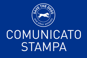 Restituito il premio “Animali in città 2024” di Legambiente