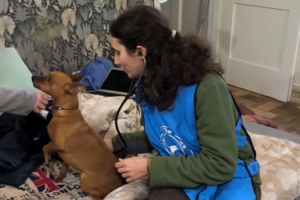 Il nostro servizio a domicilio per gli animali delle persone più vulnerabili