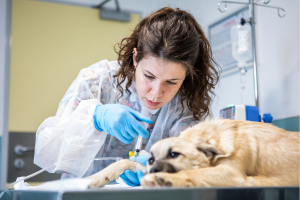 I nostri progetti: cosa abbiamo fatto nel 2025