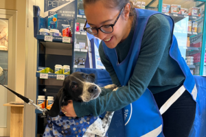 Volontariato con Save the Dogs – Webinar 17 febbraio 2026