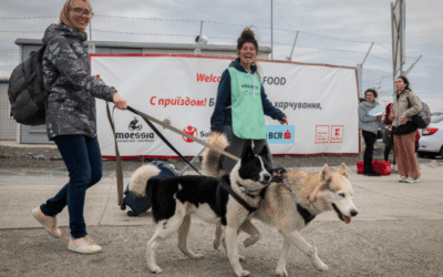 Save the Dogs partecipa alla conferenza “Animali in guerra