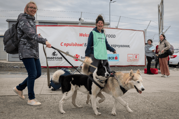 Save the Dogs partecipa alla conferenza “Animali in guerra