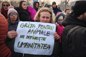 Protesta davanti al Parlamento dopo gli orrori del canile di Suraia