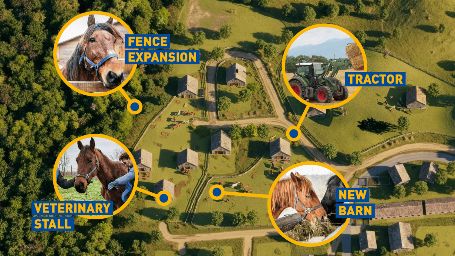 Salva migliaia di cuccioli abbandonati