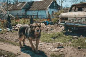 Quattro anni di guerra in Ucraina
