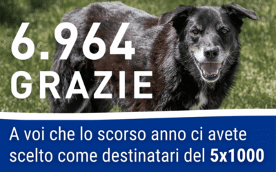 5X1000: la vostra fiducia che diventa aiuto