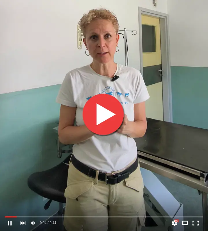appello-sara-video
