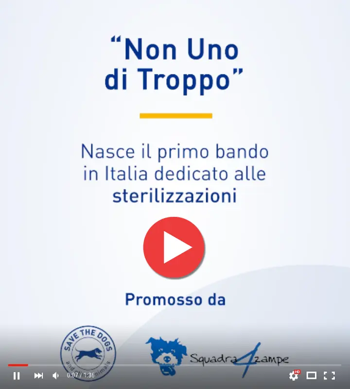 img-bando-video