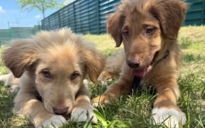 Terra and Bacco: Two brothers, two destinies transformed