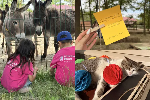 International Children’s Day at Footprints of Joy in Romania