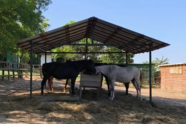Aggiornamento dal Santuario degli Equidi di Impronte di Gioia