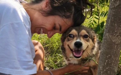 I primi 13 cani di Costanza sono fuori pericolo
