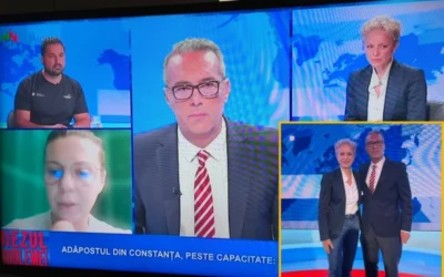 Canile lager di Costanza, scontro in TV con il sindaco