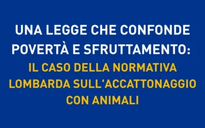 Una legge che confonde povertà e sfruttamento