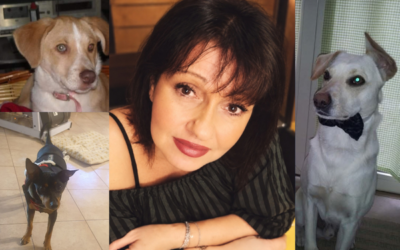 In memoria di Stefania: quando il ricordo diventa un gesto concreto