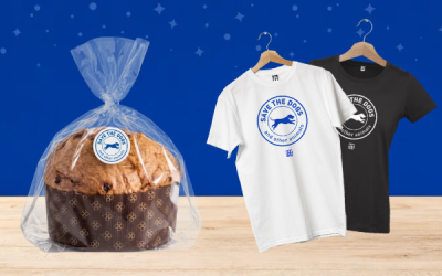 Regali di Natale: le novità