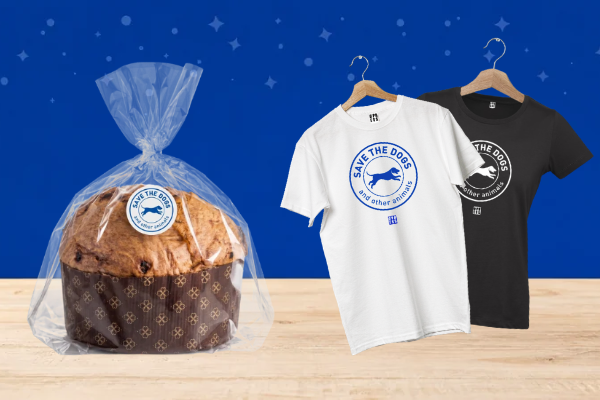 Regali di Natale: le novità
