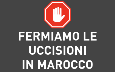 Save the Dogs aderisce al presidio contro le uccisioni dei cani randagi in Marocco