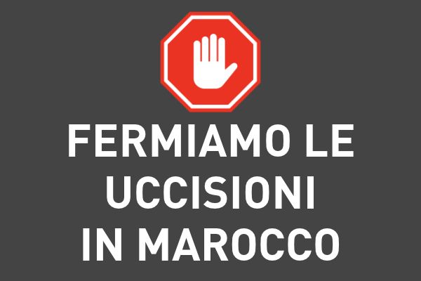 Save the Dogs aderisce al presidio contro le uccisioni dei cani randagi in Marocco
